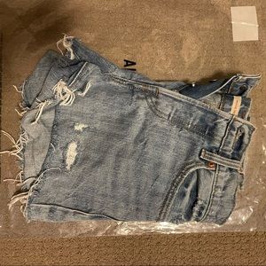 Levi Wedgie Shorts 24